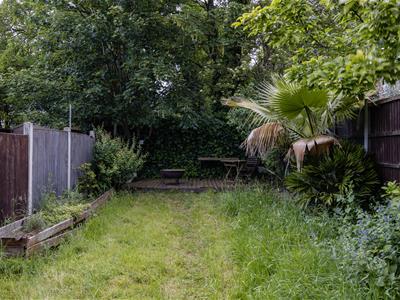 Picture 25